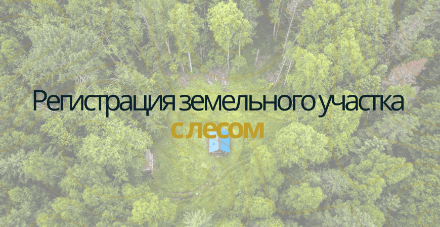 Земельный участок с лесом в Волгограде